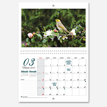 A simple wire-O bound wall calendar featuring an image of a yellow bird sitting on a tree branch.